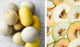 yoto链接吃瓜,吃瓜群众必看的幕后故事