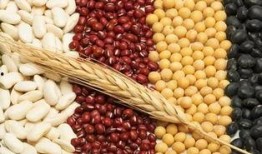 寒露吃豆少吃瓜,豆香四溢，瓜果退场