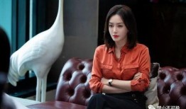 吃瓜展博,揭秘娱乐圈背后的真实故事