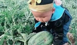 婆婆吃瓜开袋视频,萌态十足引网友热议