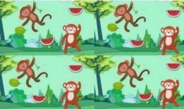 吃瓜人的吃瓜故事简介内容,揭秘吃瓜人的神秘故事