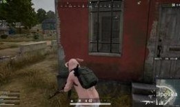 吃鸡麻瓜csgo,跨界融合的电竞新篇章