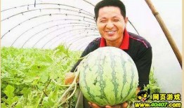 南墙吃瓜,揭秘娱乐圈的幕后风云