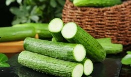 吃中药能吃瓜,健康生活的智慧之道