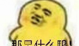 吃瓜的小表情包,揭秘吃瓜小表情包的魅力所在