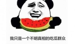 内涵吃瓜句子,网络热词背后的文化现象