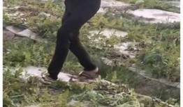 姐夫吃瓜舅子吃瓜,姐夫舅子共享吃瓜乐趣