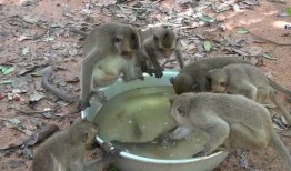 钓鱼吃瓜的图片,悠然自得的生活画卷