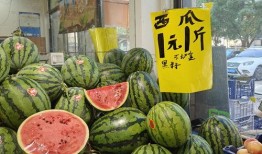 吃瓜卖瓜新鲜的瓜,吃瓜卖瓜，新鲜瓜果尽在掌握