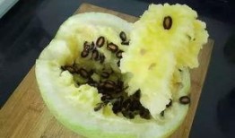 手术后吃籽瓜,籽瓜助力健康饮食新选择