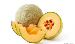 洛塘吃瓜,一场别开生面的吃瓜盛宴