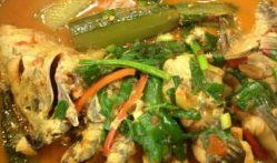 哈啦鱼 头像 吃瓜