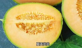 哈密瓜过夜可以吃吗,安全与营养的权衡