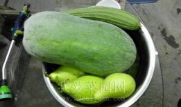 专业瞎唠吃瓜,揭秘娱乐圈幕后真相