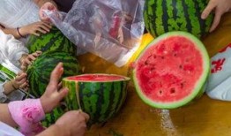 604吃瓜视频,揭秘娱乐圈幕后故事