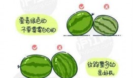 遏制吃瓜风气的方法,多措并举构建清朗网络空间