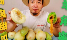 专业瞎唠吃瓜,揭秘娱乐圈幕后真相