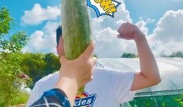 吃瓜美国网红,揭秘娱乐圈幕后真相