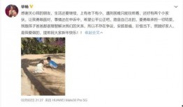 吃瓜不停歇网站,揭秘娱乐圈幕后故事