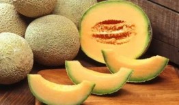 哈密瓜能和青提一起吃,营养双享的夏日美味组合