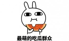 吃瓜萌主道歉,反思与成长之路