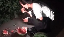 深夜吃瓜全部,揭秘娱乐圈背后的秘密与真相