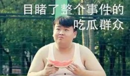 文赫吃瓜,揭秘娱乐圈幕后故事