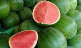 吃一回瓜,揭秘吃瓜的乐趣与养生之道