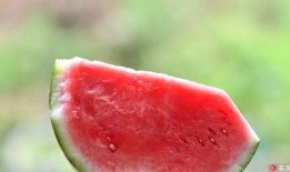 夜儿吃瓜,揭秘娱乐圈的幕后故事