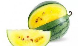 英国瓜哪里吃,探寻最佳食用时刻与方式