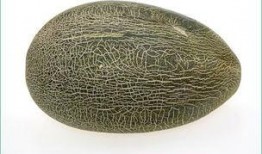 女性经期吃哈密瓜,经期女性食用哈密瓜的益处与注意事项