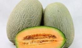 哈密瓜能和青提一起吃,营养双享的夏日美味组合