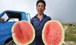 英国瓜哪里吃,探寻最佳食用时刻与方式