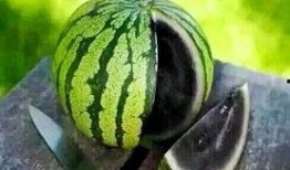 瓜哥吃瓜蜗牛是哪一集