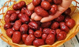 吃枣吃胖吃瓜吃馊了,探寻美食与体重变化的奇妙关系