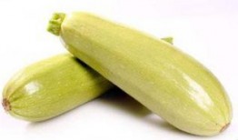 吃播为什么吃茭瓜,吃播中的茭瓜美食之旅