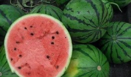 中国吃瓜大省,揭秘美食盛地的独特魅力