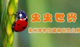 宅在家吃瓜视频