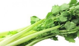 程yooooo瓜吃洋参,程yooooo瓜的洋参养生之旅