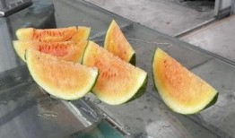 别的瓜可以吃吗,从“别的瓜可以吃吗”看生活中的幽默与智慧