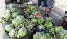 南宁兴安吃瓜事件,一场引发热议的街头冲突