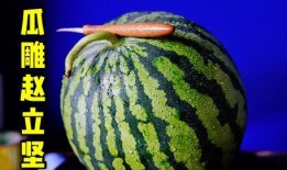 锦江之星吃瓜事件,一场酒店服务风波引发的舆论热议