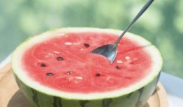 吃肉吃瓜,探寻美食背后的故事与奥秘