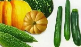江滨瓜怎么吃,解锁夏日清新美味
